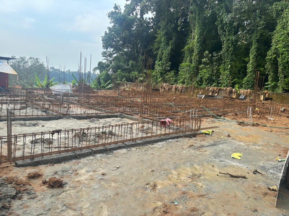 Compound & Landscaping